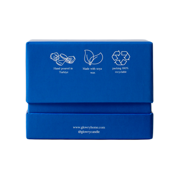 Organic Kiwi Pineapple Smoothie Pops